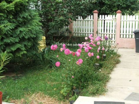 dscf3822.jpg