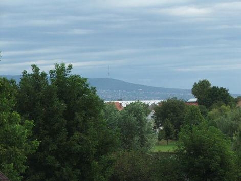dscf3825.jpg